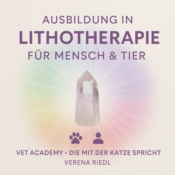 🌿 Lithotherapie-Ausbildung für Mensch & Tier (Selbstlernkurs, 113 Seiten)