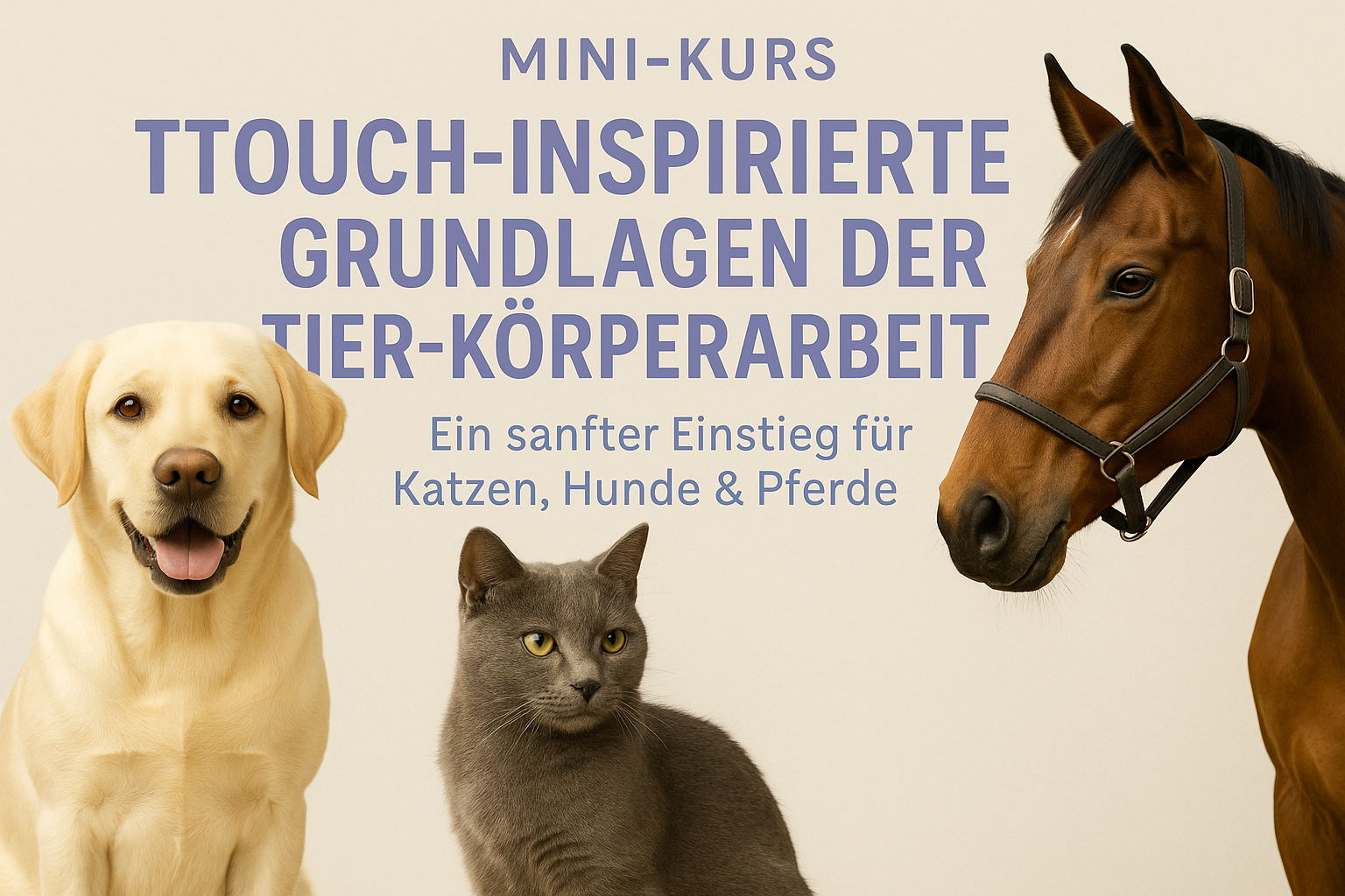 „Mini-Kurs Tier-Körperarbeit – TTouch-inspirierte Techniken für Katzen, Hunde & Pferde | Stressabbau & Beruhigung | 3 einfache Methoden“