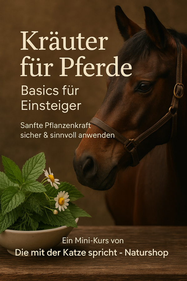 Kräuter für Pferde – Premium-Kurs (27 Seiten) | Sicher & natürlich anwenden