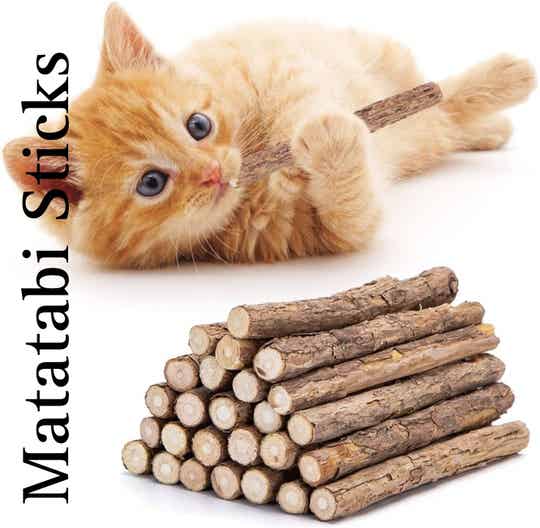 Matatabi sticks für Katzen