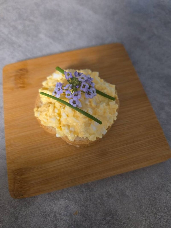 Mini Canapes