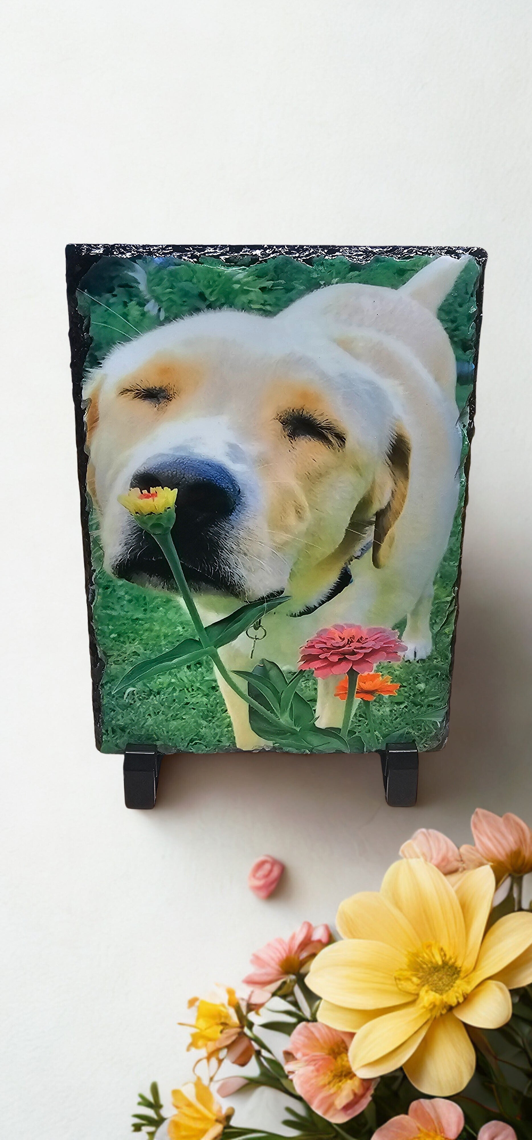 Photos on Slate