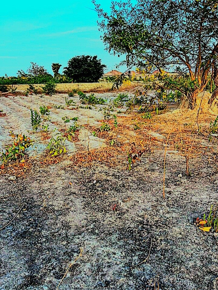 Land in het mooie dorp Jalambango VERKOCHT