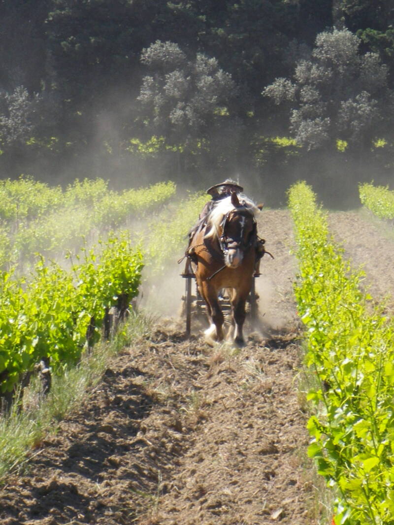 Travail du sol