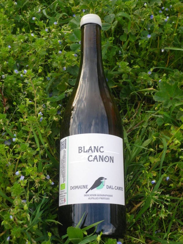 BLANC CANON