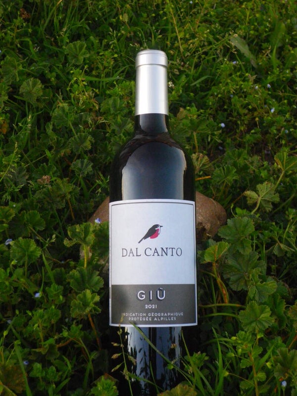 GIÙ 2016 ROUGE