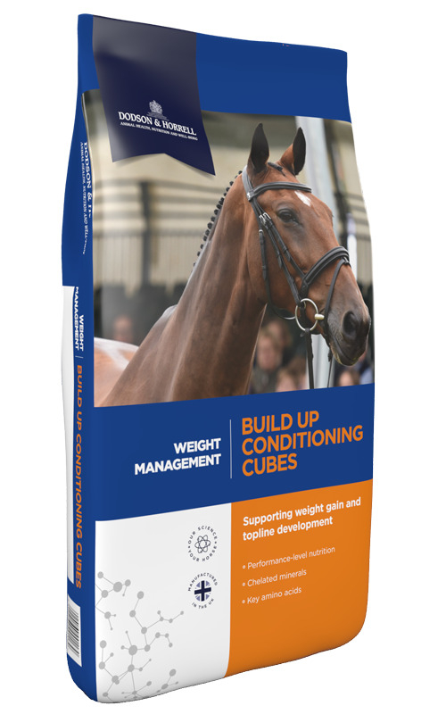 D&H Build Up Conditioning Cubes 20Kg (Dodson & Horrell)