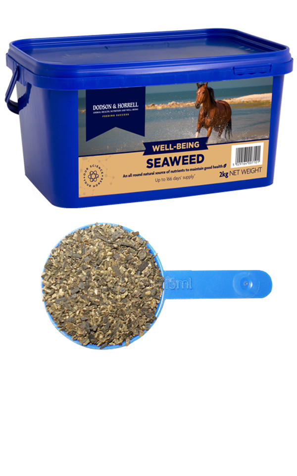 D&H Seaweed  2 Kg (Dodson & Horrell)