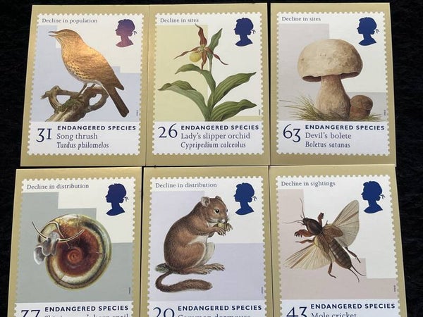 Endangered Species 1998