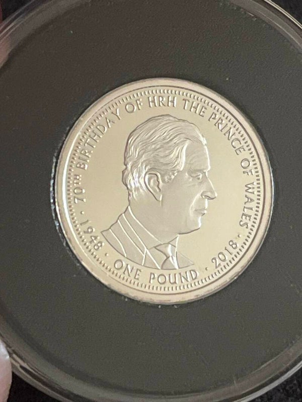 Solid Silver Proof £1 Coin only 9.999 minted