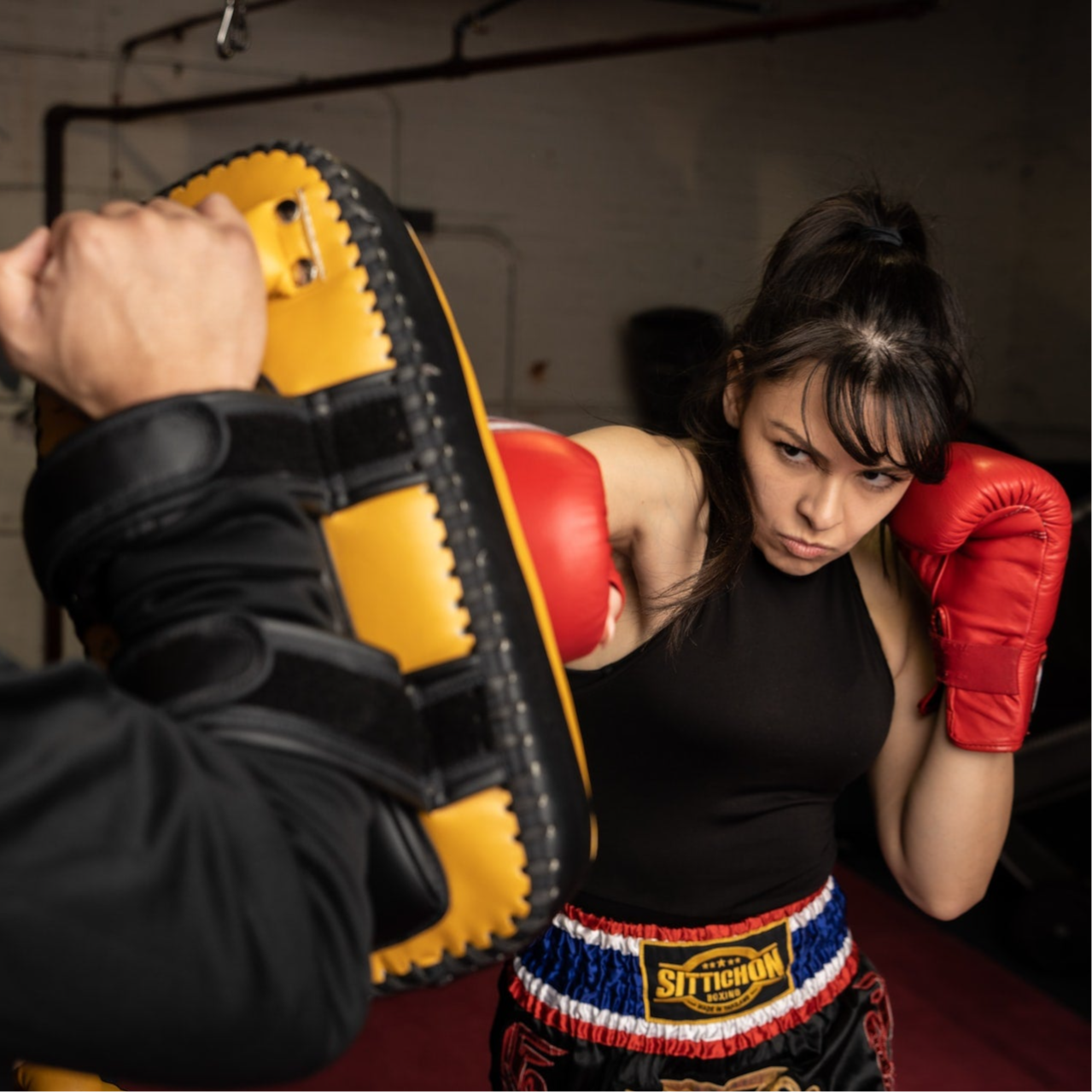 pad training emmeloord