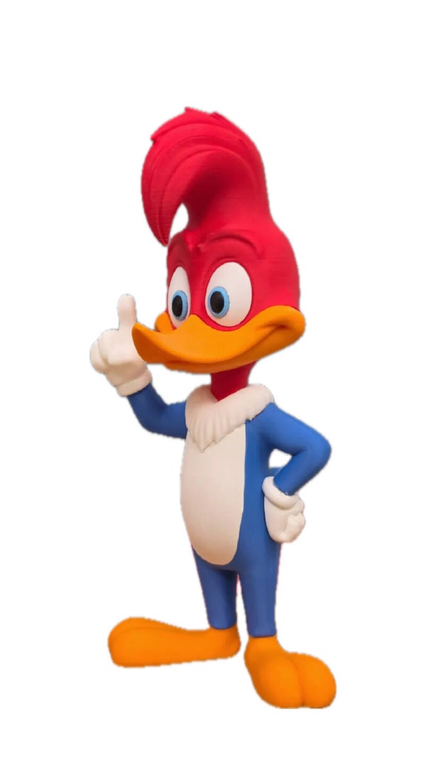 PAJARO LOCO