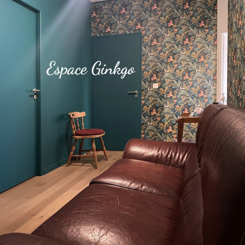 lcgrapho LC GRAPHO graphothérapie - graphothérapeute Rosny-sous-bois 93 rééducation de l'écriture espace ginkgo