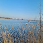 20210302_115749.jpg