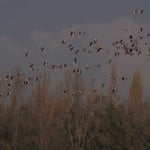 PB054741.jpg
