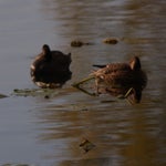PB054717.jpg