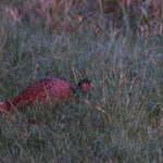 PB054702.jpg
