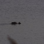 PB054774-1.jpg