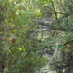 PB050030.jpg