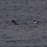 PB054749.jpg