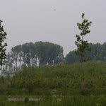 P5194061-1.jpg