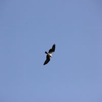 img_6770jpg.jpg