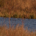 PB234818-1.jpg