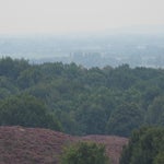 P9030006-1.jpg