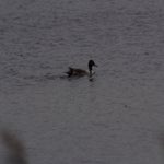 PB054769-1.jpg