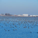 P3020050-1.jpg