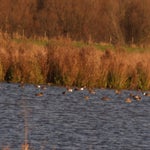 PB234820-1.jpg