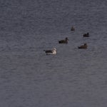 PB054757-1.jpg