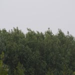 P5194048-2.jpg