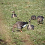 P3020057-1.jpg