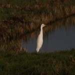 PB234810-1.jpg