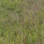 P5194062-2.jpg