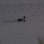 PB054770-1.jpg