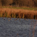PB234819-1.jpg