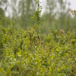 P5194049-2.jpg