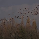 PB054740.jpg