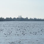 PB050054.jpg