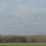 PB050049.jpg
