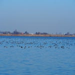 P3020035-1.jpg
