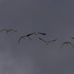 PB054732.jpg
