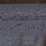 PB054746.jpg