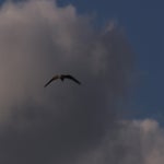 PB234801-1.jpg