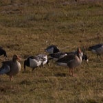 P2254832.jpg