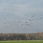 PB050050-1.jpg