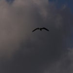 PB234800-1.jpg