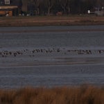P2254827.jpg